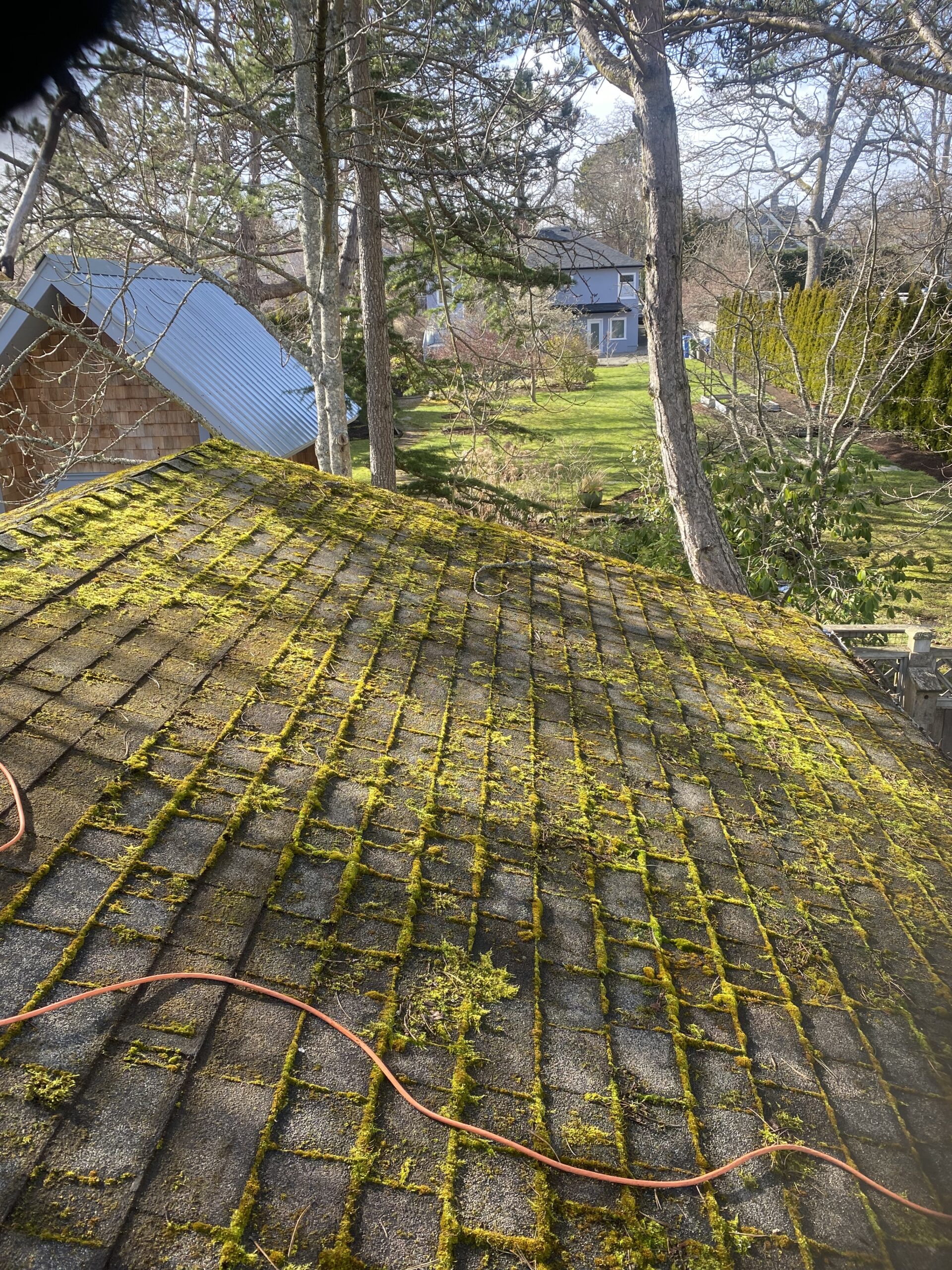 Read more about the article Preserving the Beauty of Your Home: All About Roof Maintenance